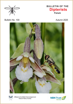 cover of spring 2025 Bulletin