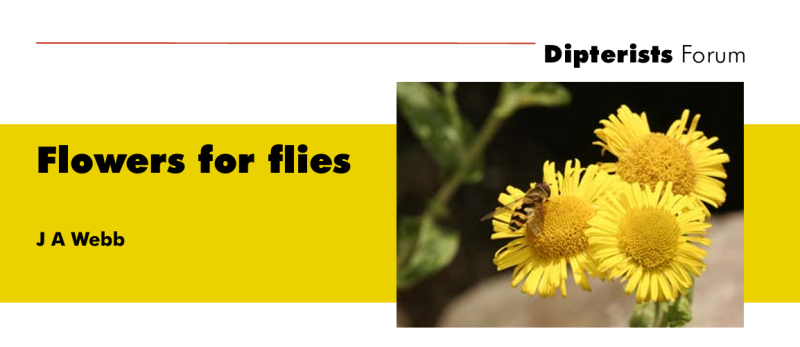 Image of Flowers for flies document