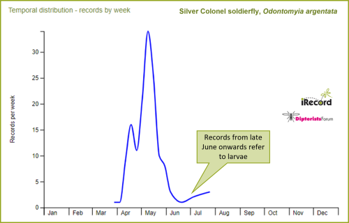 Phenology chart