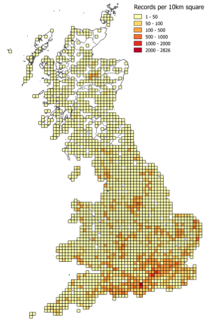 Soldierflies and allies - number of records per 10km square