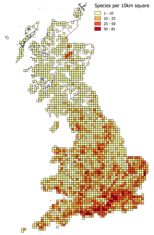 Soldierflies and allies - number of species per 10km square