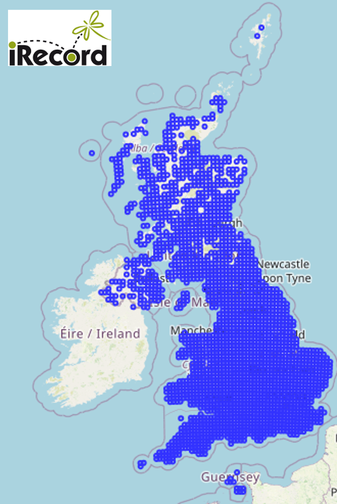 Map of the UK showing blue dots for each 10 km square that has a record within the Soldierflies and Allies Recording Scheme - good coverage across most of the UK, some gaps in Scotland and Northern Ireland