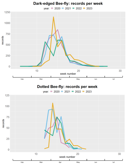 Chart of Bee-fly Watch records per year