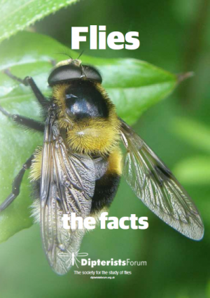 cover of Flies: the facts leaflet