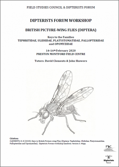 Cover of the keys to picture-wing flies