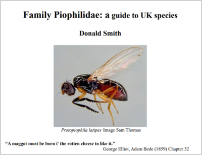 Cover of the guide to Piophilidae