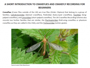 Intro to cranefly recording