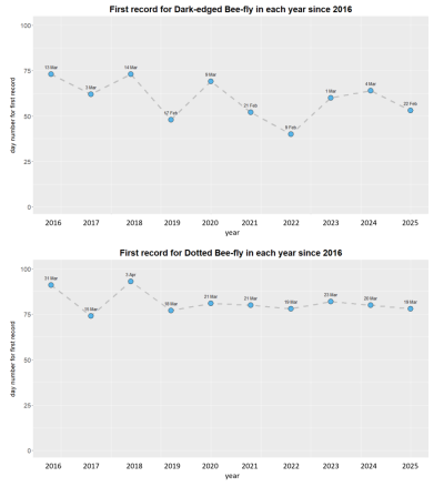 Chart showing the date of the first record for Dark-edged and Dotted Bee-fly in each year since 2016.