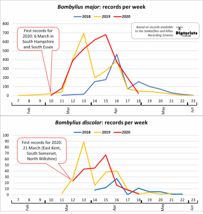 Flight-period charts for Dark-edged and Dotted bee-flies