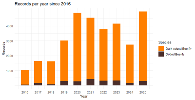 Chart of Bee-fly Watch records per year