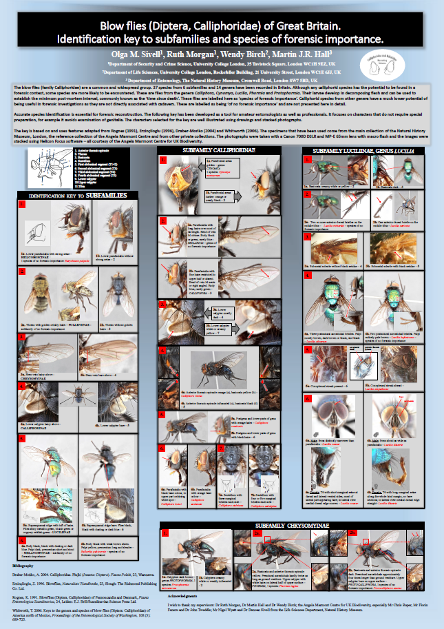 Guide to forensic species