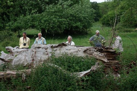 Members of Northants and Peterborough Diptera Group and Dipterists Forum at Yardley Chase MoD during Spring 2017 Field Meeting. From left to Right: Rob Wolton, Roger Morris, Alan Stubbs, Jeff Blincow and Graham Warnes