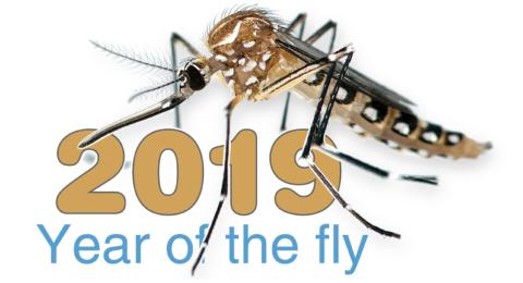Year of the Fly logo