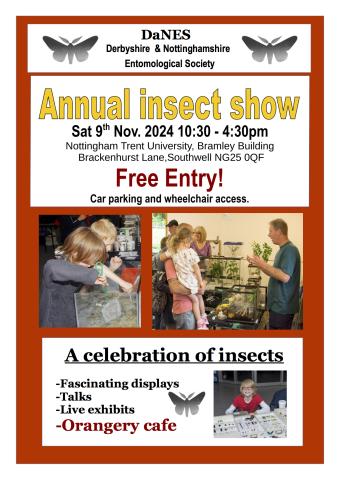 DaNES Insect Show poster