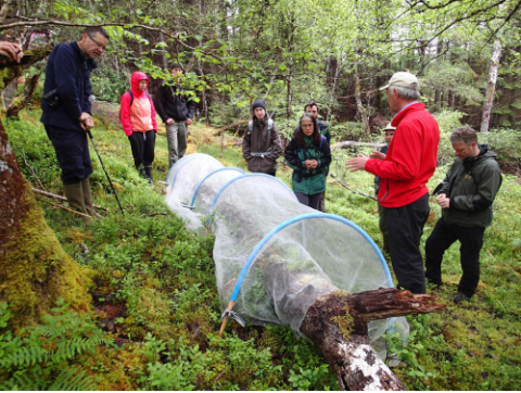 Photo of people in woodland, looking at a netting cage placed over a fallen dead tree