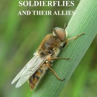 British soldierflies and their allies book cover